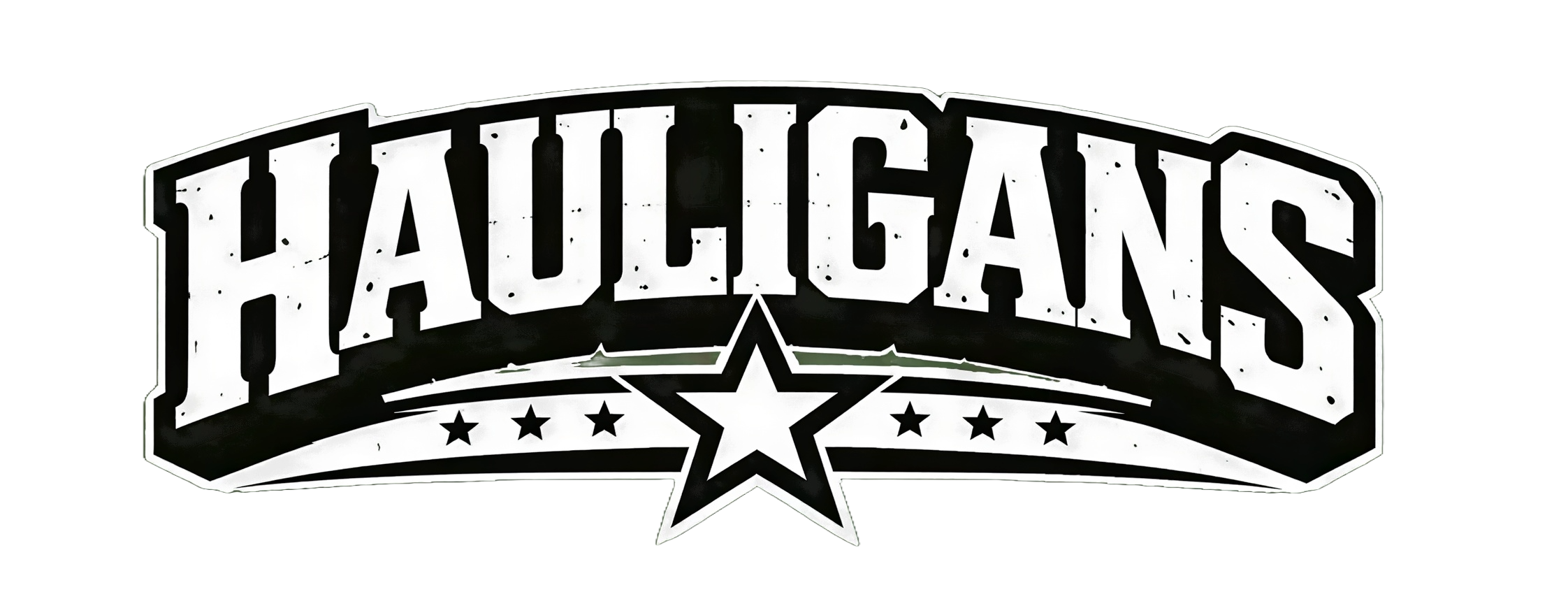 The Hauligans Junk Removal